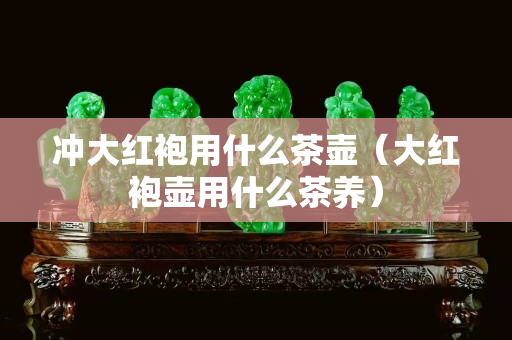 沖大紅袍用什么茶壺（大紅袍壺用什么茶養(yǎng)）