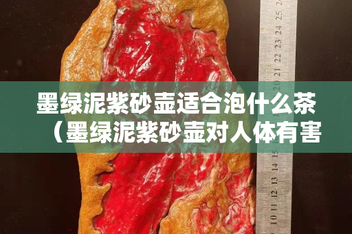 墨綠泥紫砂壺適合泡什么茶（墨綠泥紫砂壺對人體有害）