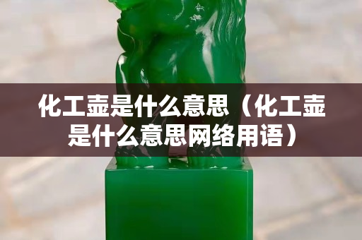 化工壺是什么意思（化工壺是什么意思網(wǎng)絡用語）