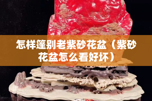 怎樣篷別老紫砂花盆（紫砂花盆怎么看好壞）