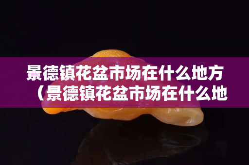 景德鎮花盆市場在什么地方（景德鎮花盆市場在什么地方賣）