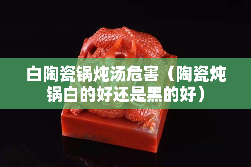 白陶瓷鍋燉湯危害（陶瓷燉鍋白的好還是黑的好）