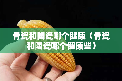 骨瓷和陶瓷哪個健康（骨瓷和陶瓷哪個健康些）