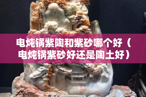 電燉鍋紫陶和紫砂哪個好（電燉鍋紫砂好還是陶土好）