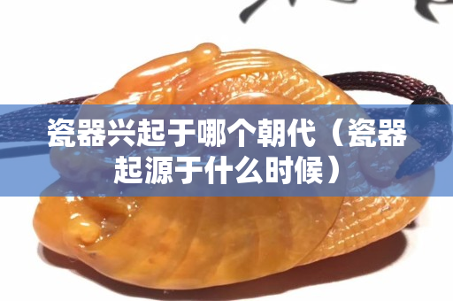瓷器興起于哪個朝代（瓷器起源于什么時候）