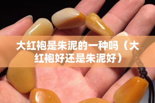 大紅袍是朱泥的一種嗎（大紅袍好還是朱泥好）