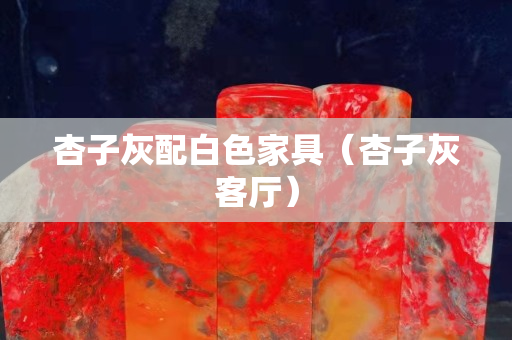 杏子灰配白色家具（杏子灰客廳）