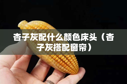杏子灰配什么顏色床頭（杏子灰搭配窗簾）