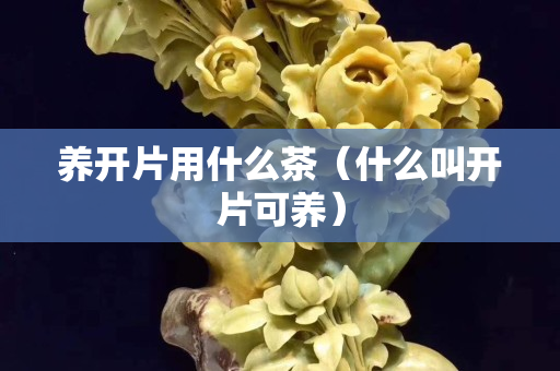 養開片用什么茶（什么叫開片可養）
