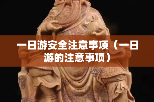 一日游安全注意事項（一日游的注意事項）