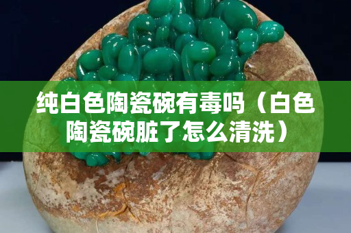 純白色陶瓷碗有毒嗎（白色陶瓷碗臟了怎么清洗）