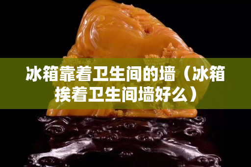冰箱靠著衛生間的墻（冰箱挨著衛生間墻好么）