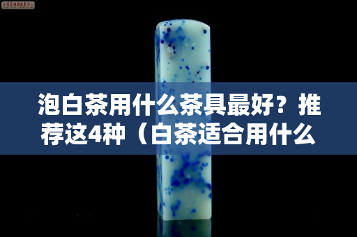 泡白茶用什么茶具最好？推薦這4種（白茶適合用什么器具沖泡）