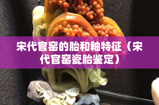 宋代官窯的胎和釉特征（宋代官窯瓷胎鑒定）