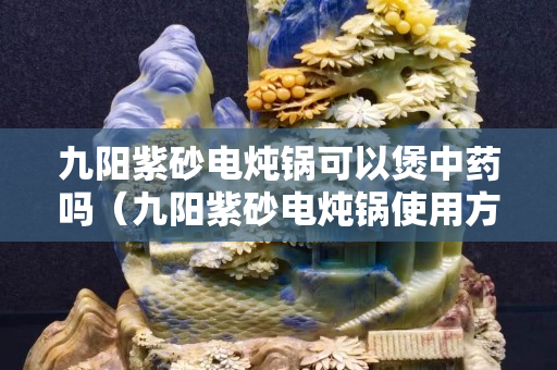九陽紫砂電燉鍋可以煲中藥嗎（九陽紫砂電燉鍋使用方法）
