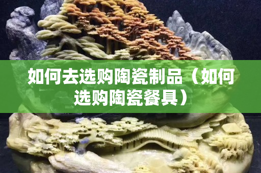 如何去選購陶瓷制品（如何選購陶瓷餐具）
