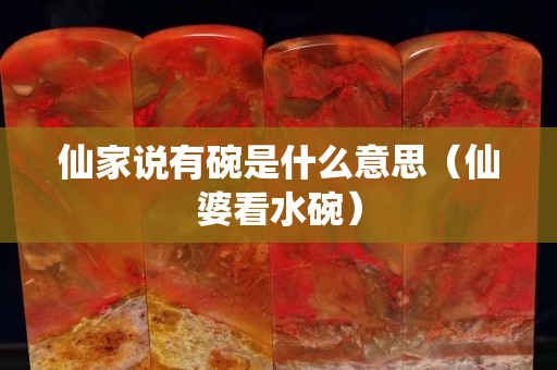 仙家說有碗是什么意思（仙婆看水碗）