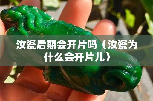 汝瓷后期會開片嗎（汝瓷為什么會開片兒）