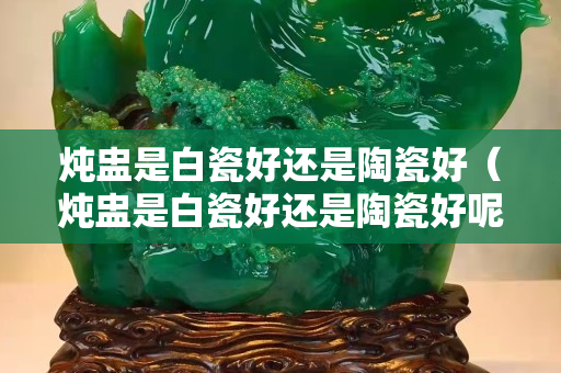 燉盅是白瓷好還是陶瓷好（燉盅是白瓷好還是陶瓷好呢）