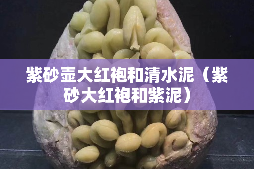紫砂壺大紅袍和清水泥（紫砂大紅袍和紫泥）