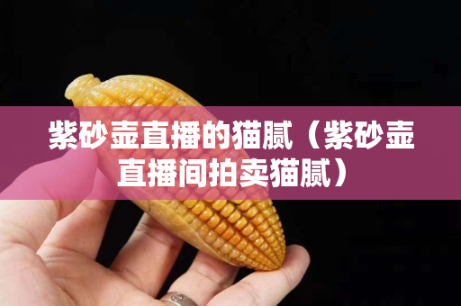 紫砂壺直播的貓膩（紫砂壺直播間拍賣貓膩）