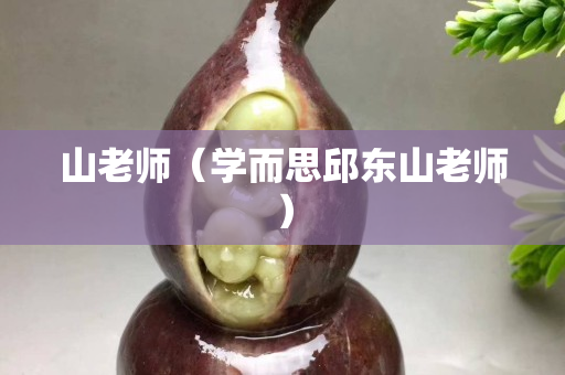 山老師（學而思邱東山老師）