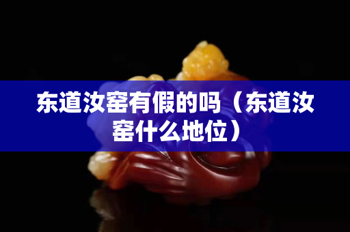 東道汝窯有假的嗎（東道汝窯什么地位）