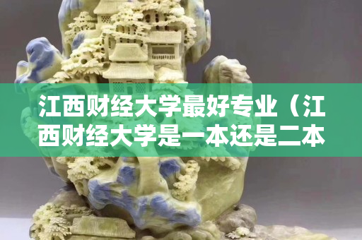 江西財經大學最好專業（江西財經大學是一本還是二本）