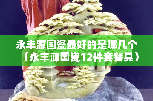 永豐源國瓷最好的是哪幾個（永豐源國瓷12件套餐具）