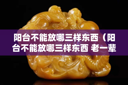 陽(yáng)臺(tái)不能放哪三樣?xùn)|西（陽(yáng)臺(tái)不能放哪三樣?xùn)|西 老一輩）