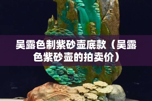 吳露色制紫砂壺底款（吳露色紫砂壺的拍賣(mài)價(jià)）
