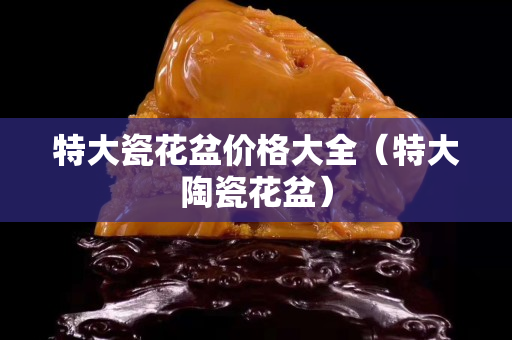 特大瓷花盆價(jià)格大全（特大陶瓷花盆）