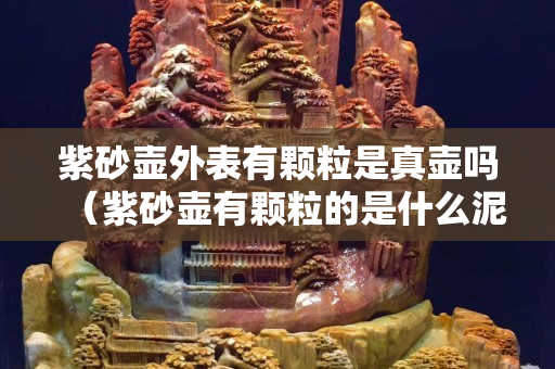 紫砂壺外表有顆粒是真壺嗎（紫砂壺有顆粒的是什么泥料）