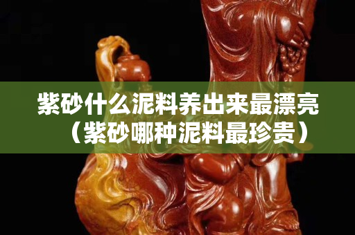 紫砂什么泥料養(yǎng)出來最漂亮（紫砂哪種泥料最珍貴）