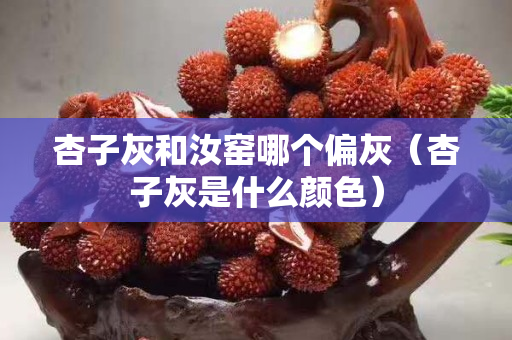 杏子灰和汝窯哪個偏灰（杏子灰是什么顏色）