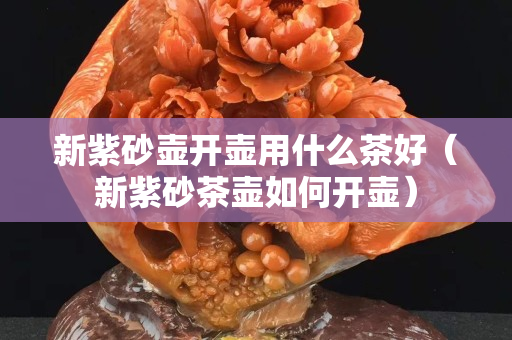 新紫砂壺開壺用什么茶好（新紫砂茶壺如何開壺）