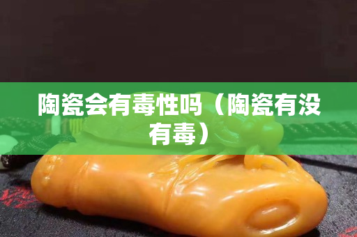 陶瓷會有毒性嗎（陶瓷有沒有毒）