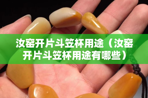 汝窯開片斗笠杯用途（汝窯開片斗笠杯用途有哪些）
