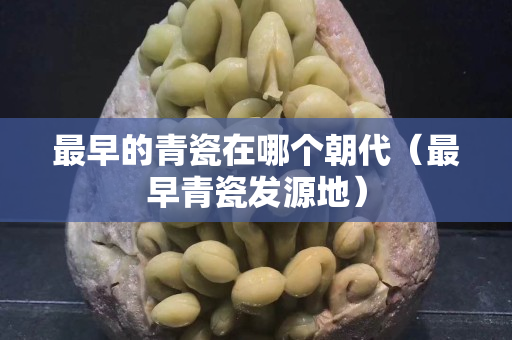 最早的青瓷在哪個朝代（最早青瓷發源地）