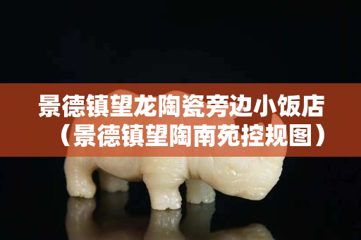 景德鎮(zhèn)望龍?zhí)沾膳赃呅★埖辏ň暗骆?zhèn)望陶南苑控規(guī)圖）
