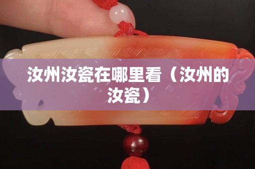 汝州汝瓷在哪里看（汝州的汝瓷）