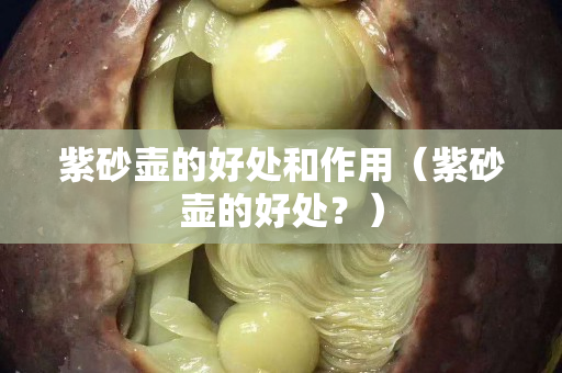 紫砂壺的好處和作用（紫砂壺的好處？）