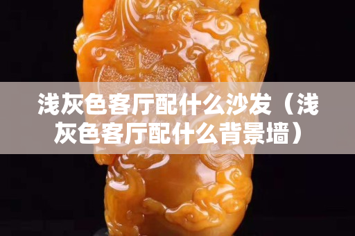 淺灰色客廳配什么沙發（淺灰色客廳配什么背景墻）