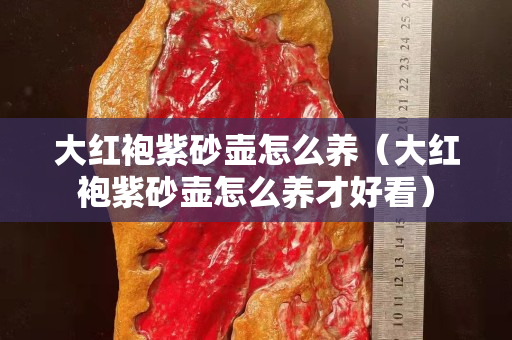 大紅袍紫砂壺怎么養(yǎng)（大紅袍紫砂壺怎么養(yǎng)才好看）