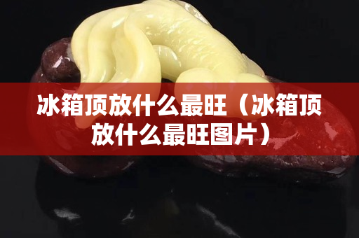 冰箱頂放什么最旺（冰箱頂放什么最旺圖片）