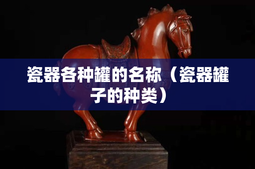 瓷器各種罐的名稱（瓷器罐子的種類）