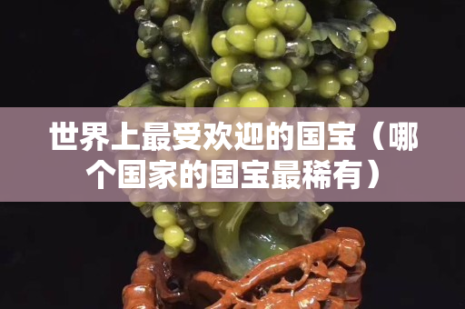 世界上最受歡迎的國寶（哪個國家的國寶最稀有）