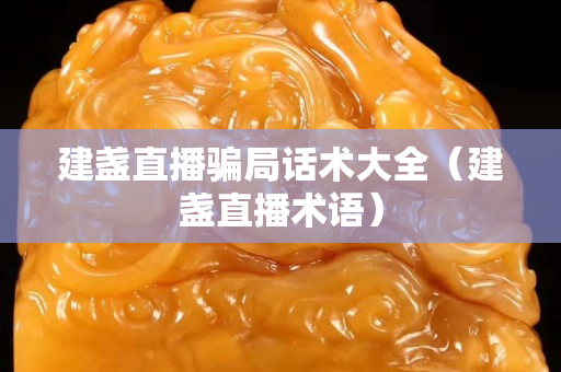 建盞直播騙局話術大全（建盞直播術語）