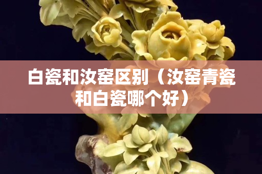 白瓷和汝窯區別（汝窯青瓷和白瓷哪個好）