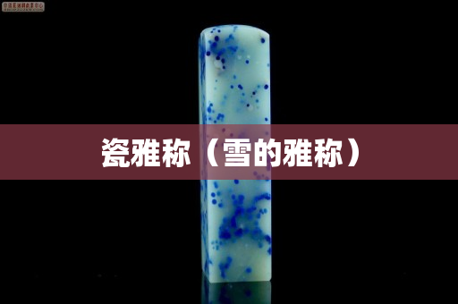 瓷雅稱（雪的雅稱）